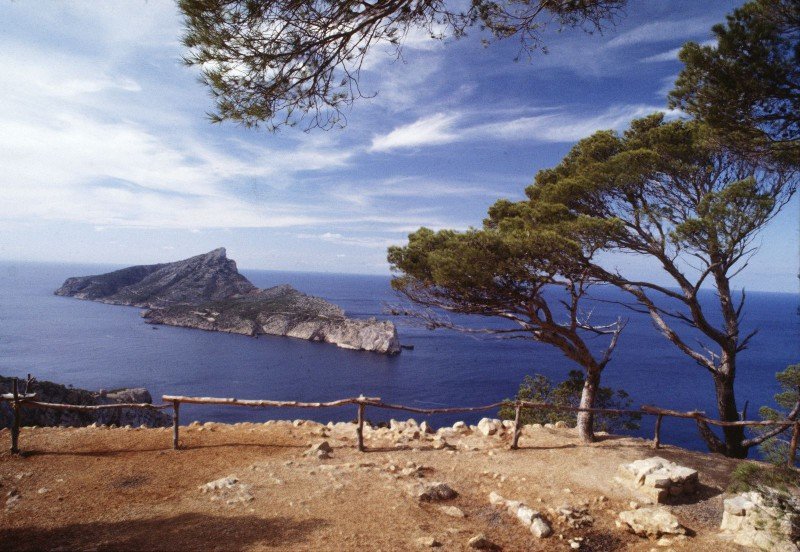 Mallorca – Natur pur! – Bild: Copyright ITV MEDIA GROUP
