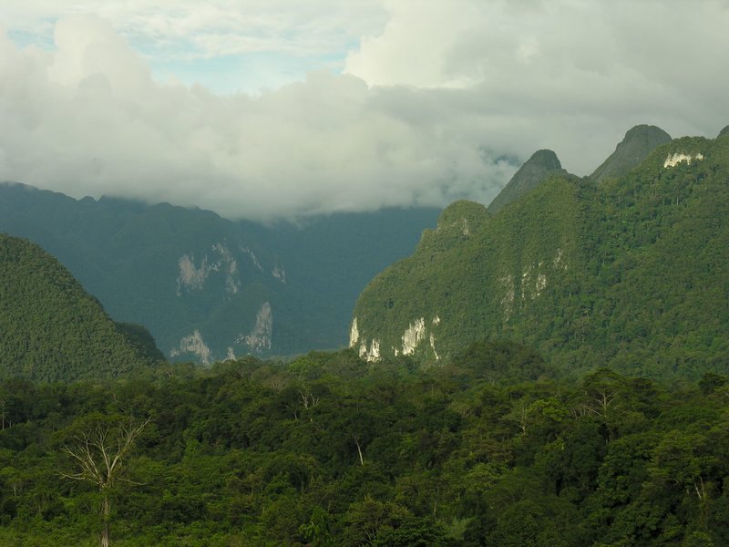 Malaysias Regenwald Dokumentation in 2 Teilen Episodenguide