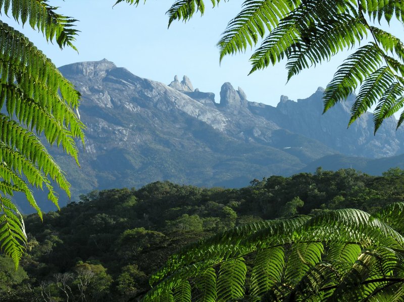Malaysias Regenwald 02 Ströme des Lebens fernsehserien.de