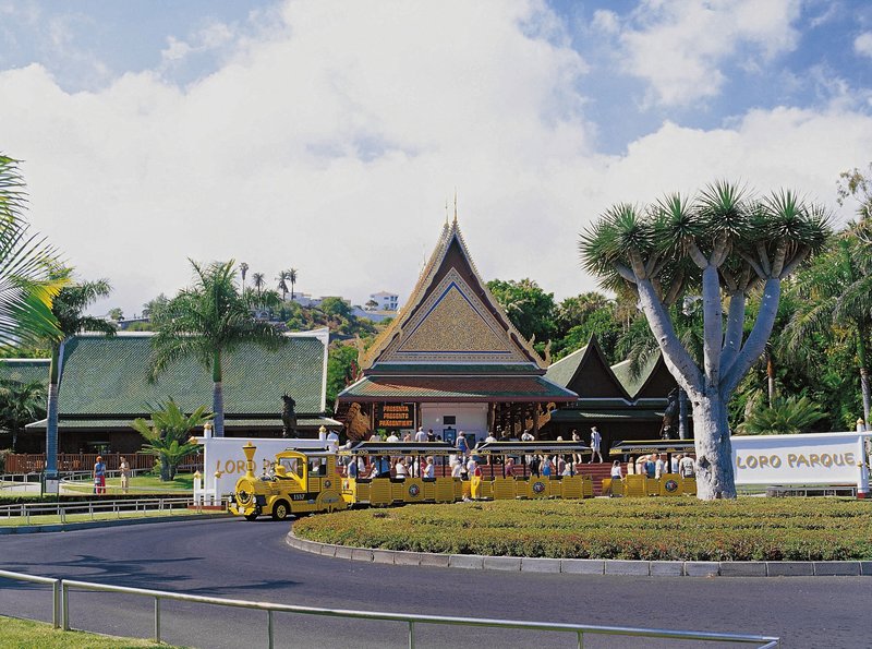 Fernsehserien Die Jungen �Rzte