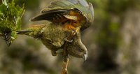 – Bild: PLANET – Bild: PLANET
