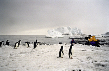 Last Ocean - Paradies am Ende der Welt – Bild: PLANET