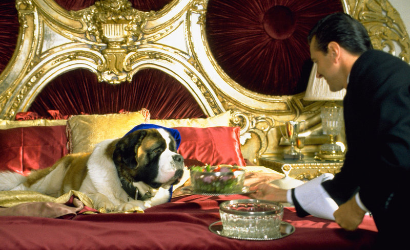 Beethoven - Doppelt bellt besser – Bild: ProSieben Media AG © Universal Pictures