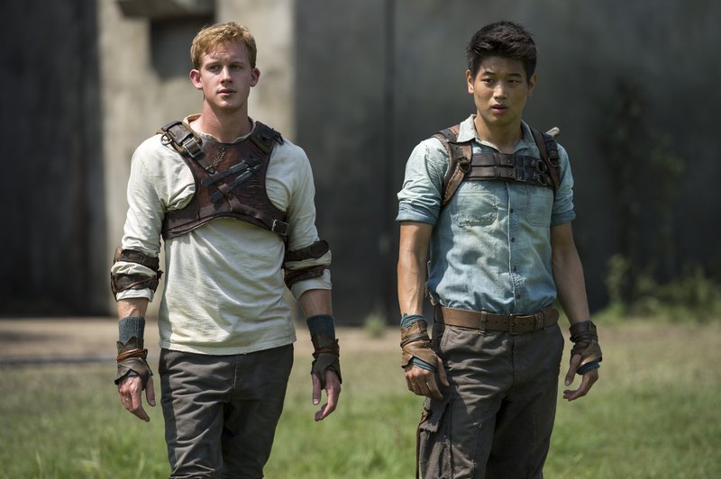 Maze Runner - Die Auserwählten im Labyrinth – Bild: Puls 4