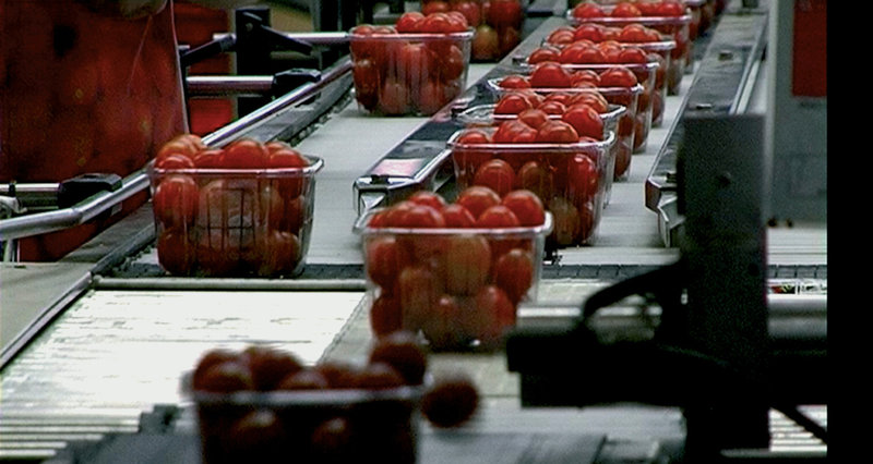 We feed the World - Essen global – Bild: ProSieben Media AG © Allegro Film