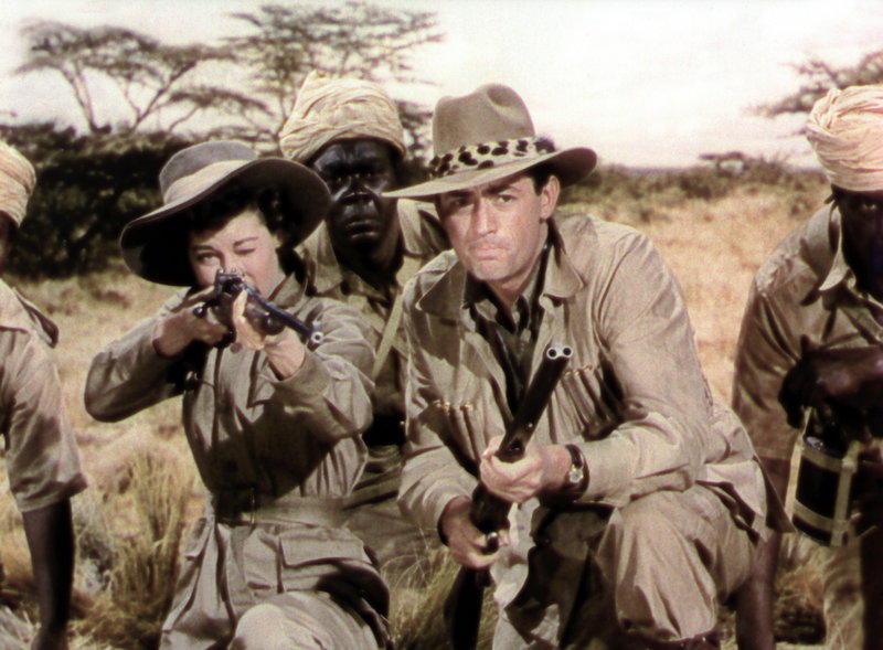 Schnee am Kilimandscharo – Bild: Puls 4