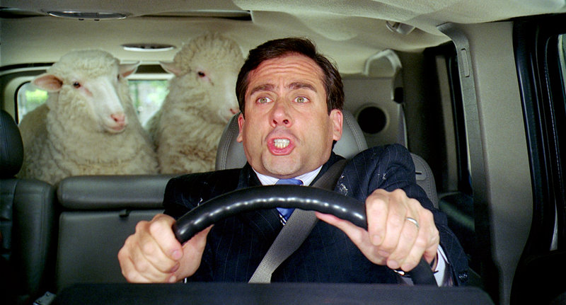 Der ehemalige Nachrichtensprecher Evan Baxter (Steve Carell) ist zum Kongressabgeordneten aufgestiegen - und plant jetzt seinen Weg nach ganz oben. Doch da kommt ihm Gott in die Quere, denn dieser beauftragt ihn, eine Arche zu bauen ... – Bild: Puls 4 Der ehemalige Nachrichtensprecher Evan Baxter (Steve Carell) ist zum Kongressabgeordneten aufgestiegen - und plant jetzt seinen Weg nach ganz oben. Doch da kommt ihm Gott in die Quere, denn dieser beauftragt ihn, eine Arche zu bauen ... – Bild: Puls 4