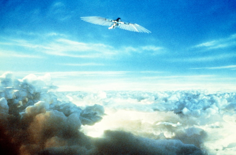 Brazil – Bild: Puls 8