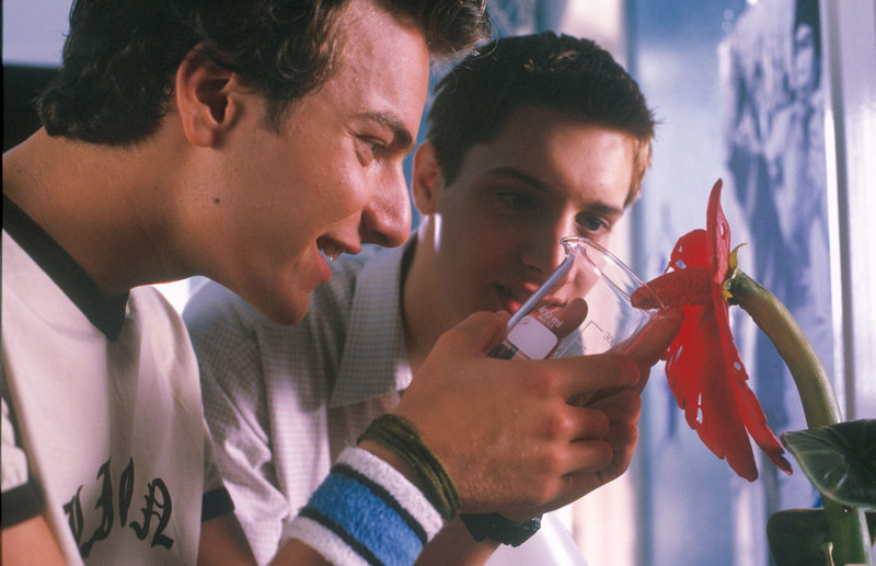 Sex Up - Jungs haben's auch nicht leicht – Bild: Puls 8