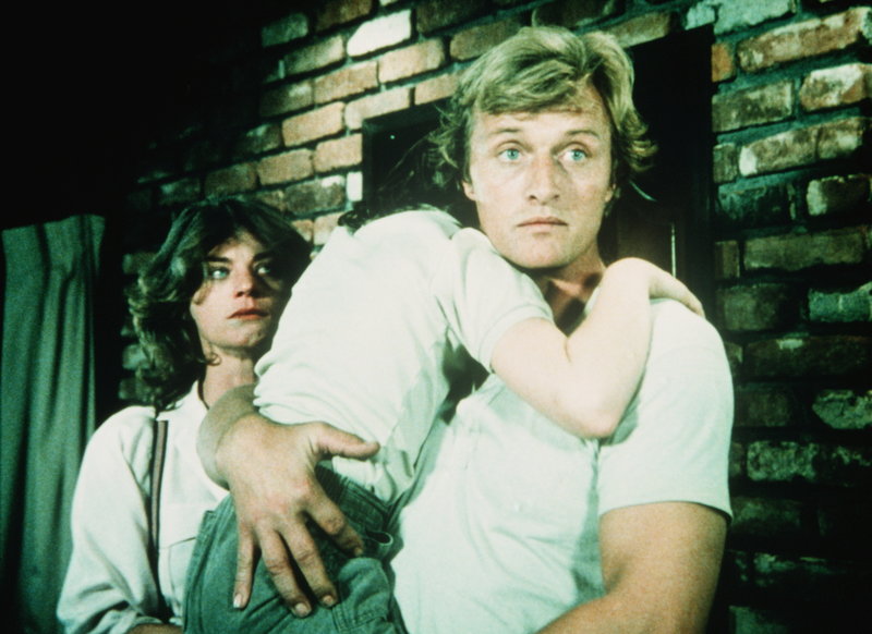 Das Osterman Weekend – Bild: Puls 8