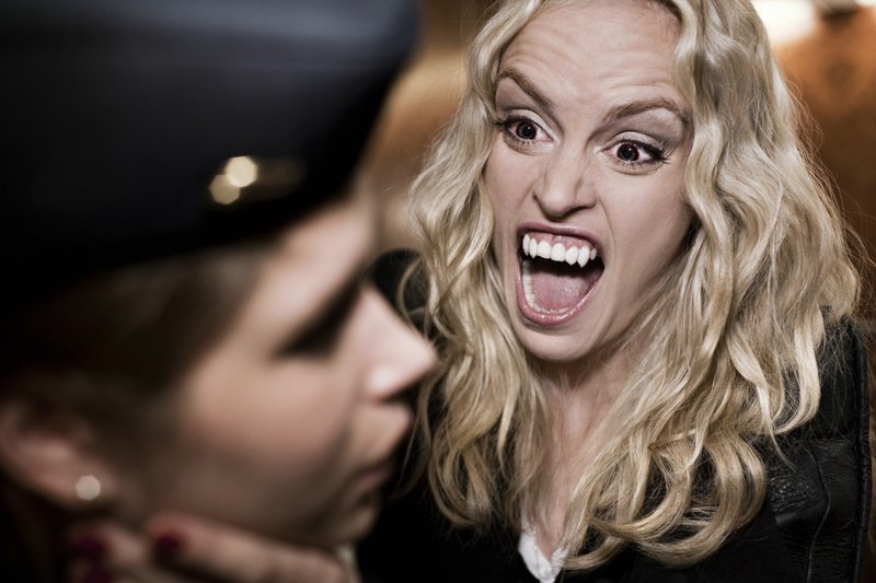 Wir sind die Nacht – Bild: Puls 8