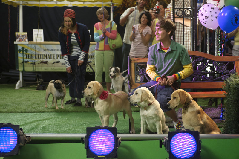 Marley und Ich II - Der frechste Welpe der Welt – Bild: Puls 8