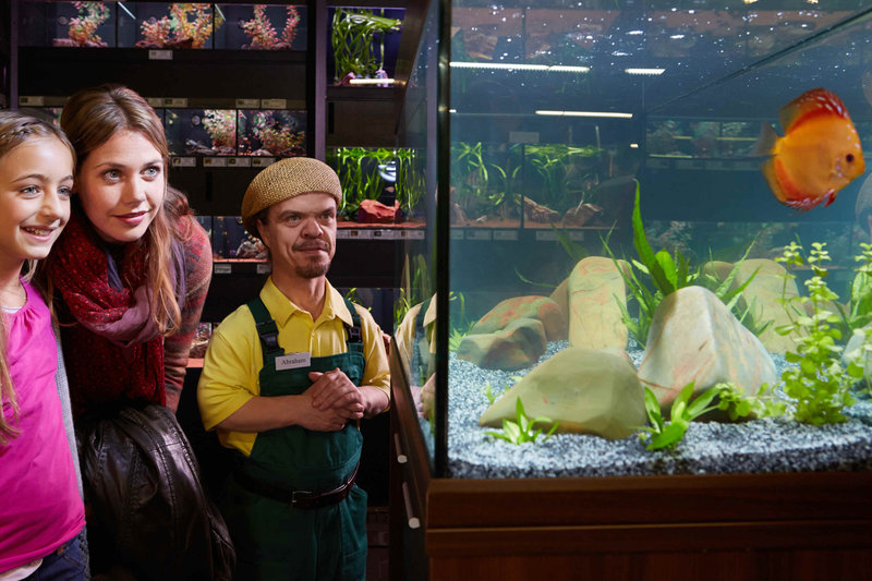 Großer Mann ganz klein! – Bild: Puls 8