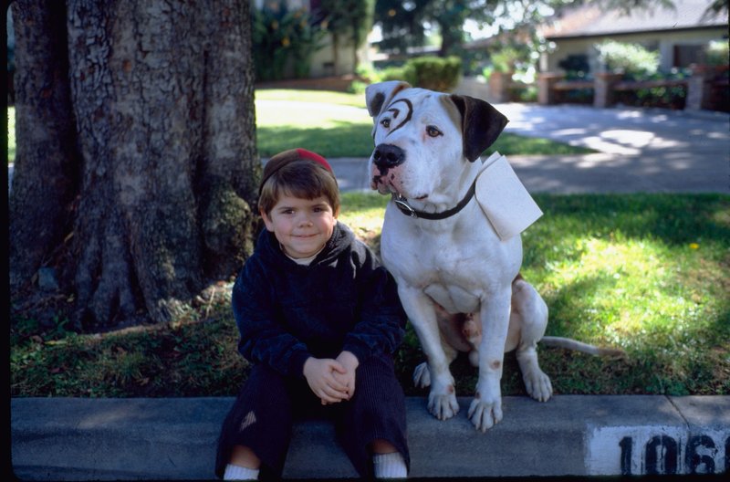 Die kleinen Superstrolche – Bild: Puls 8