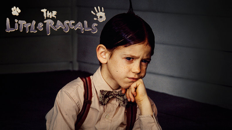 Die kleinen Superstrolche – Bild: Puls 8