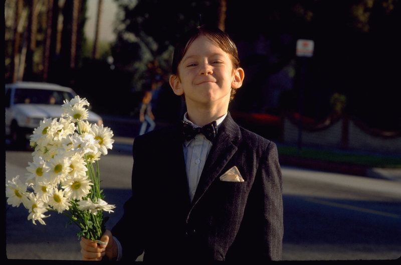 Die kleinen Superstrolche – Bild: Puls 8