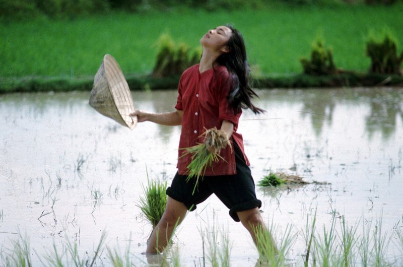 Vietnam zur Zeit des Krieges: Le Ly (Hiep Thi Le) ist die Tochter eines Reisbauern in Vietnam. Mit ihrer Mutter und ihren Geschwistern arbeitet sie auf den heimatlichen Feldern. – Bild: Puls 8 Vietnam zur Zeit des Krieges: Le Ly (Hiep Thi Le) ist die Tochter eines Reisbauern in Vietnam. Mit ihrer Mutter und ihren Geschwistern arbeitet sie auf den heimatlichen Feldern. – Bild: Puls 8