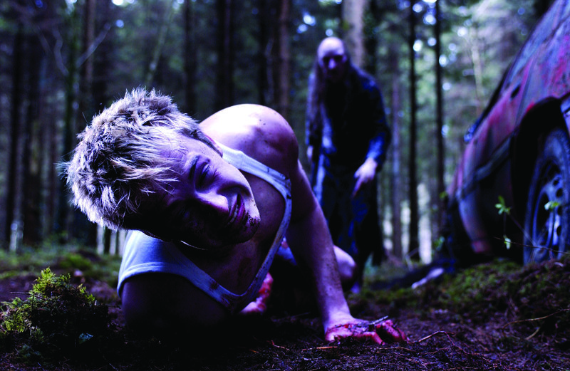 Shrooms – Bild: Puls 8