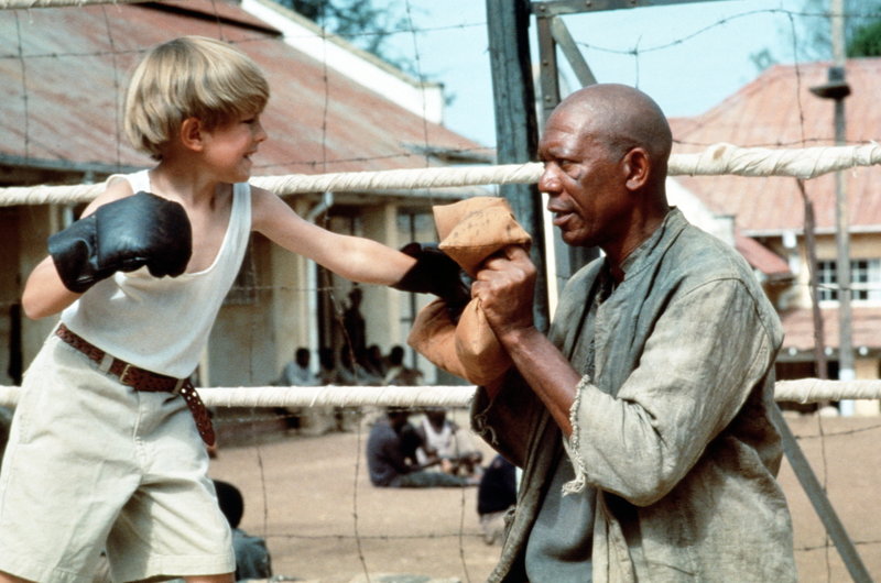 Im Glanz der Sonne – Bild: Puls 8