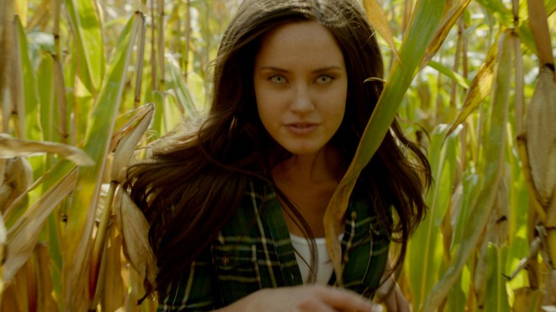 Wolves – Bild: Puls 8