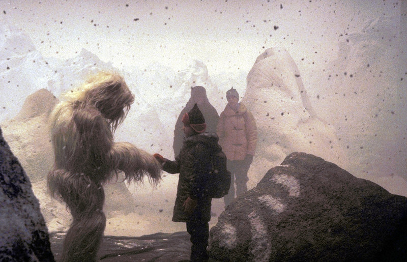 Ein Yeti zum Verlieben – Bild: Puls 8