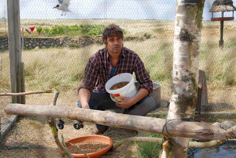 Liebesgruß an einen Engel – Bild: Puls 8