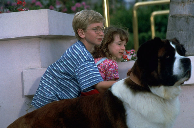 Eine Familie namens Beethoven – Bild: Puls 8