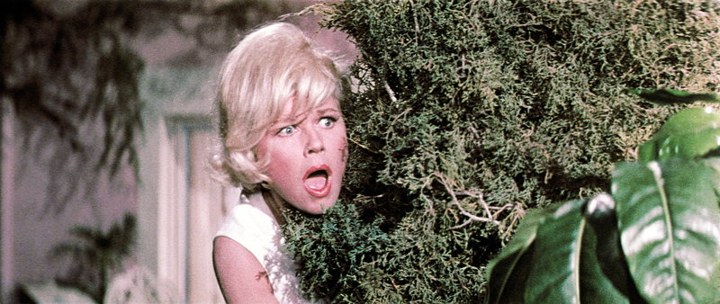 Eine zu viel im Bett – Bild: Puls 8