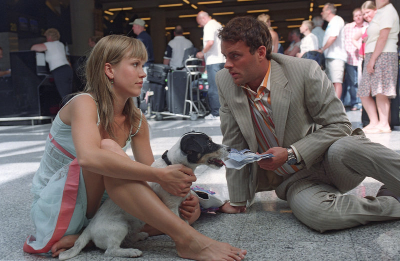 Ein Hund, zwei Koffer und die ganz große Liebe – Bild: Puls 8