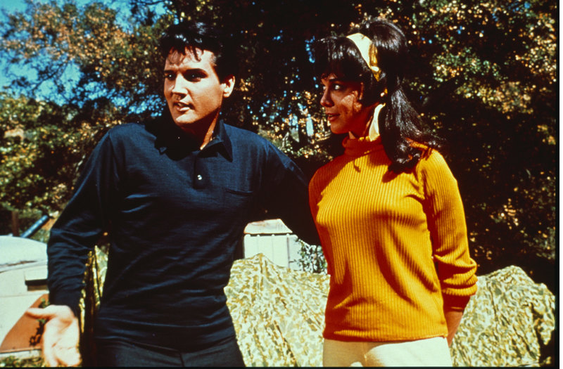 Seemann, ahoi! – Bild: Puls 8