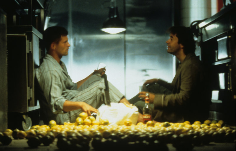 Knockin' on Heaven's Door – Bild: Puls 8