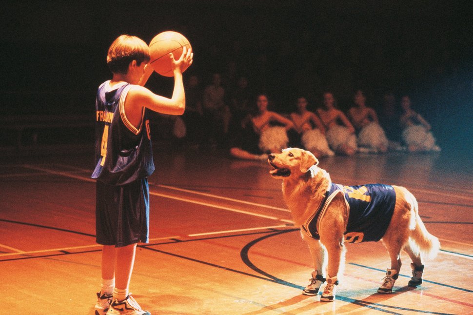 Nach dem Tod seines Vaters zieht der elfjährige Josh mit seiner Mutter nach Fernfield. Eines Tages trifft er auf den Hund Buddy. Buddy hat ein außergewöhnliches Talent: Der Golden Retriever kann Basketball spielen! – Bild: 1997 Buddy Films Inc., All Rights Reserved
