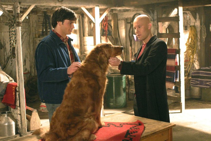 Smallville S04E14 Krypto (Krypto) fernsehserien.de