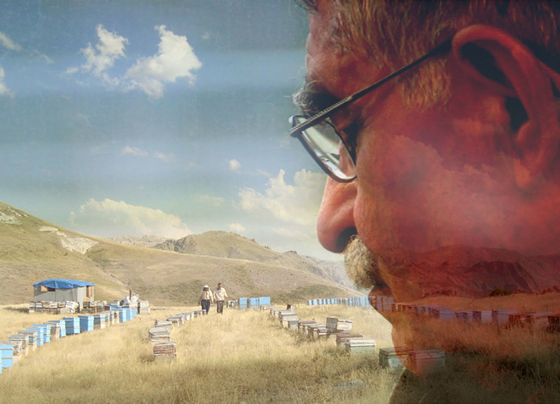 Der Imker – Bild: SRF/​Mano Khalil