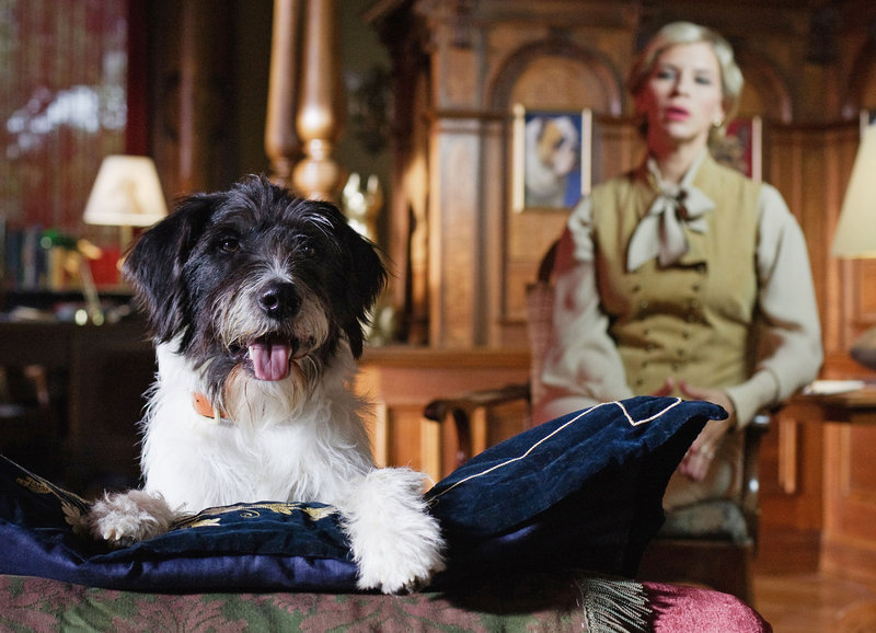 Hundeleben – Bild: SRF/​Lukas Unseld