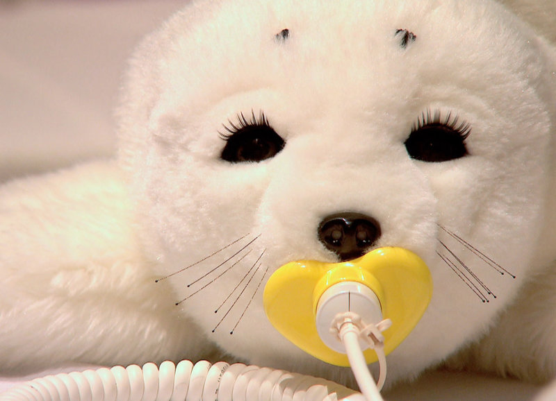 Roboter zum Kuscheln – Bild: SRF