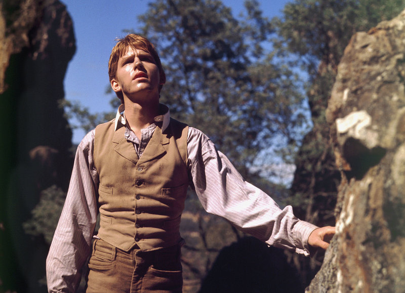 Picknick am Valentinstag – Bild: SRF/​Koch Media