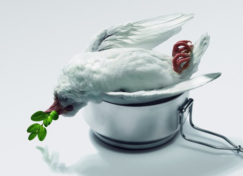 Cooking History – Bild: SRF