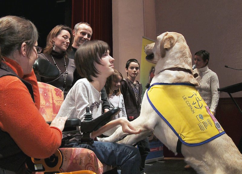 Stefanie Dettling mit Hilfshund Iveco – Bild: SRF