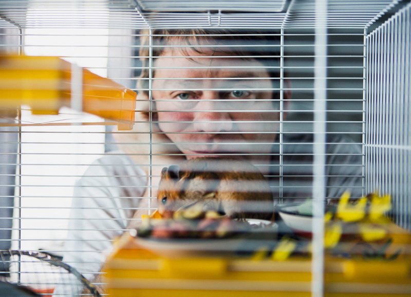 Wiedererkennung in einem Hamster: Roeland Wiesnekker als Toni Faller – Bild: SRF/​Marcus Gyger
