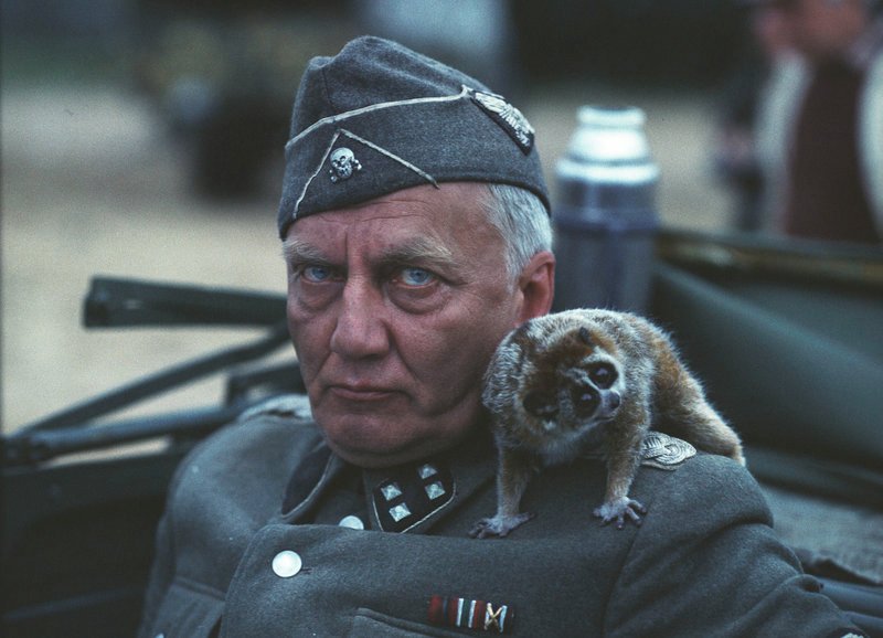 Bar jeder Menschlichkeit: Viktor Lorents als SS-Major Oskar Dirlewanger – Bild: SRF/​Mosfilm