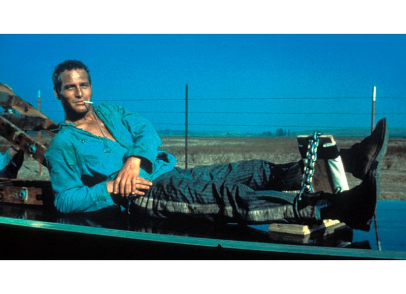 Der Traum von der Freiheit: Paul Newman als Luke – Bild: SRF/​Jalem Productions, Inc./​Warner Bros. Entertainment Inc.