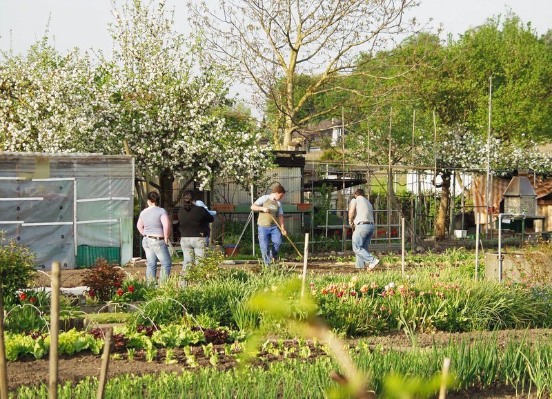 Gartenarbeit im Schrebergarten – Bild: SRF