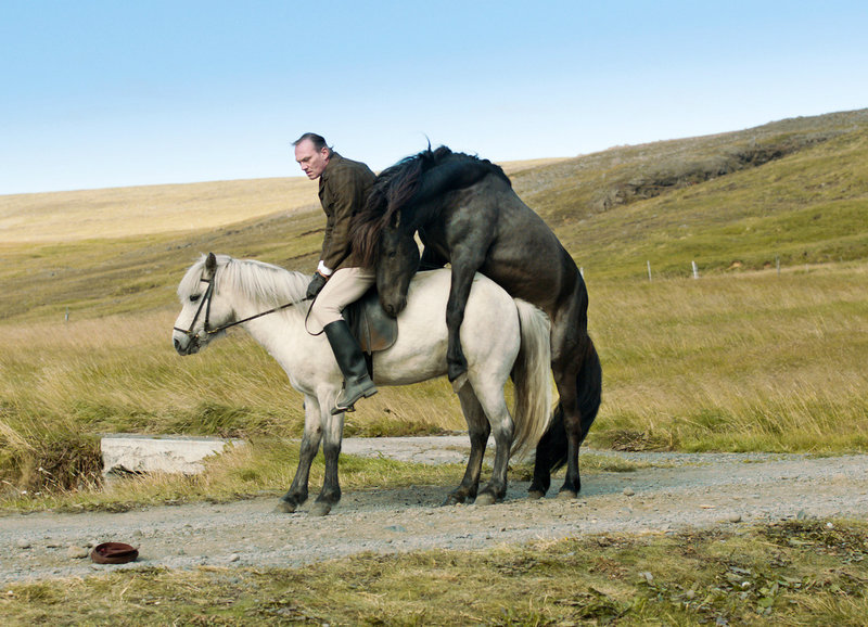 Von Menschen und Pferden – Bild: SRF/​Filmcoopi