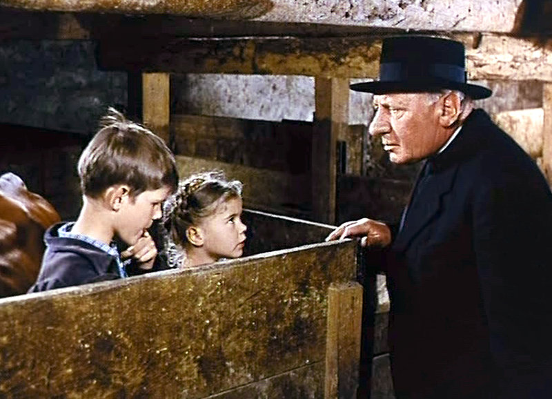 Ein wunderbarer Sommer – Bild: SRF/​Cosmopolitan Films