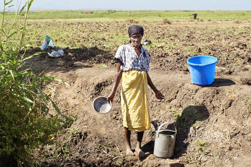 Bittere Ernte Wasserknappheit SRF/​Mira Film – Bild: SRF1