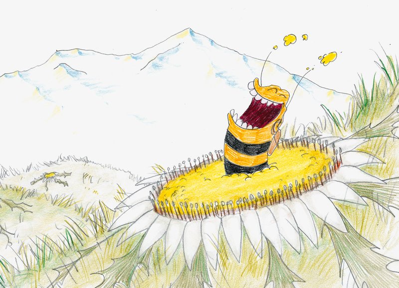 Vigia hat die unberührte Natur gefunden – Bild: SRF/​Nadasdy Film/​Marcel Barelli