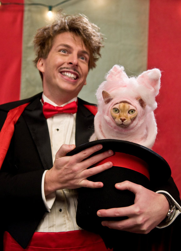 Cats and Dogs: Die Rache der Kitty Kahlohr – Bild: SRF/​Warner Bros. International Television