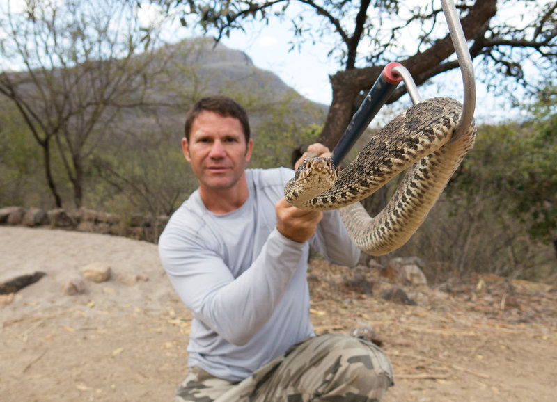Deadly 60 Die Gefahrlichsten Tiere Der Welt S02e20 Peru Peru Fernsehserien De