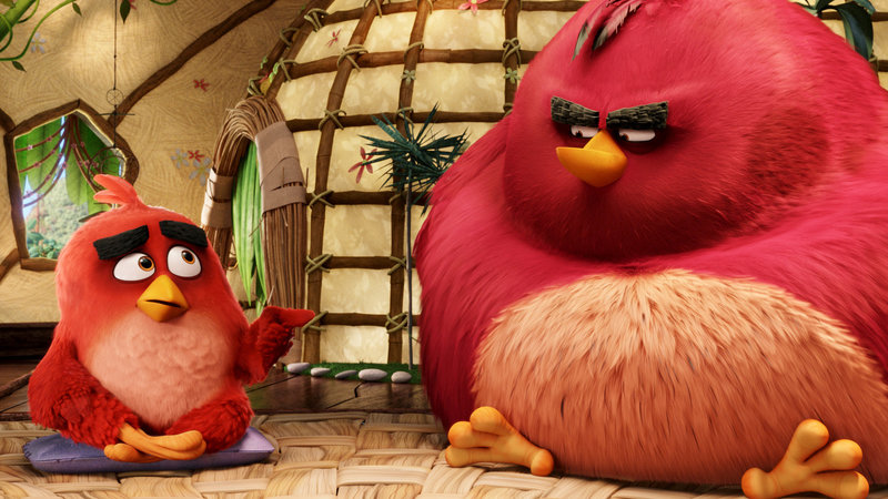 Angry Birds Gespräch in der Anti-Aggressions-Therapiegruppe SRF/2016 CTMG – Bild: SRF2 Angry Birds Gespräch in der Anti-Aggressions-Therapiegruppe SRF/2016 CTMG – Bild: SRF2